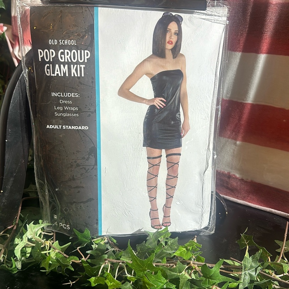 NIP HALLOWEEN costume  Old School Pop Group Glam Kit Adult standard